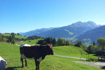 Familienurlaub Kitzbühel - Natur pur in den Bergen