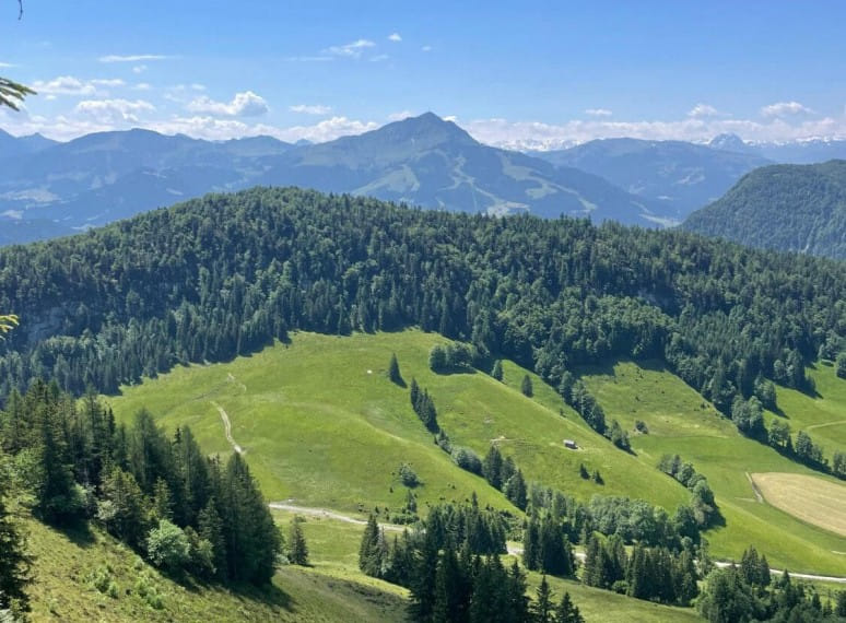 wanderurlaub__gartenhotel_rosenhof_bei_kitzbhel.jpeg