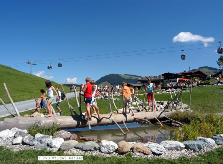 wk_119_kletterbaumimhexenwasser_tvbwilderkaiser_1.jpg