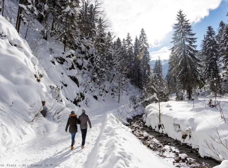 winterspaziergangnebengebirgsbachgerdlfranz.jpg