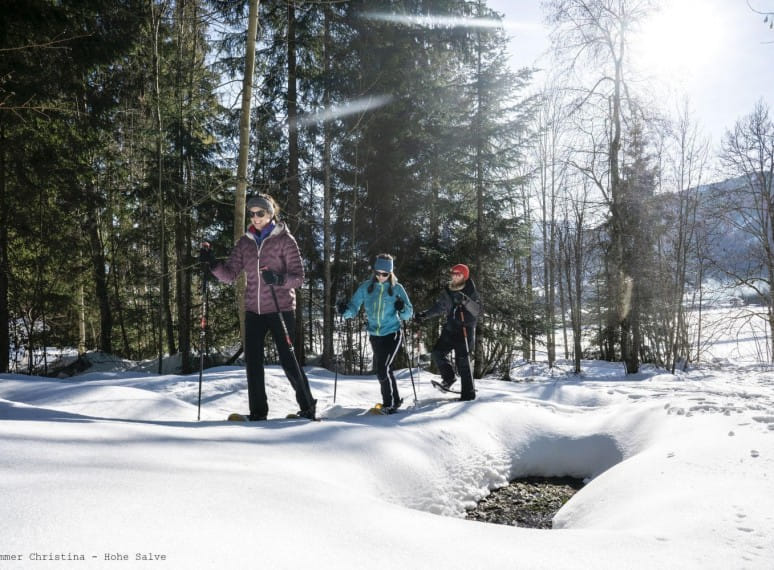 schneeschuhwanderung1ehammerchristina.jpg