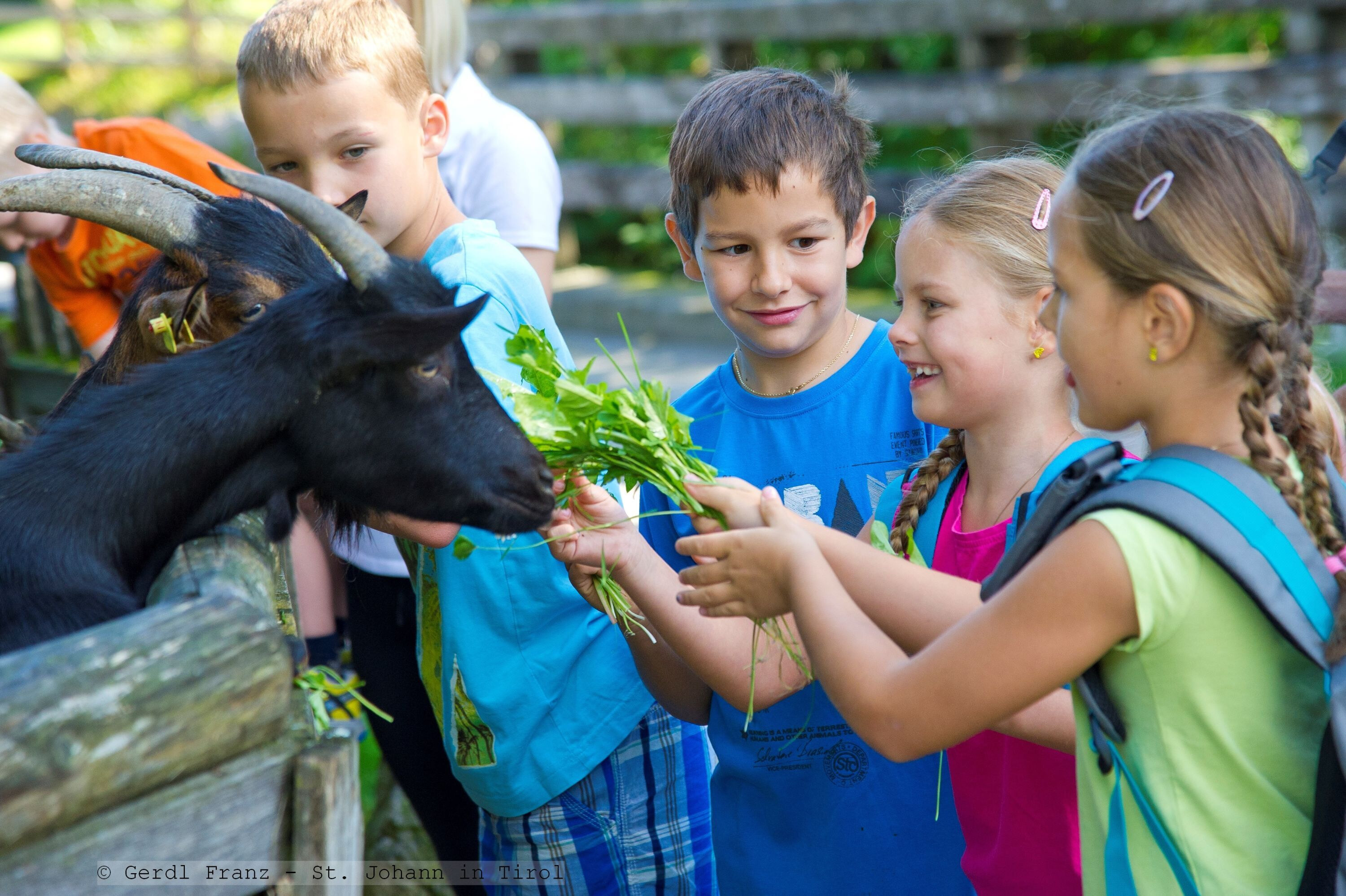 kinderprogramminst.johannintirol2gerdlfranz